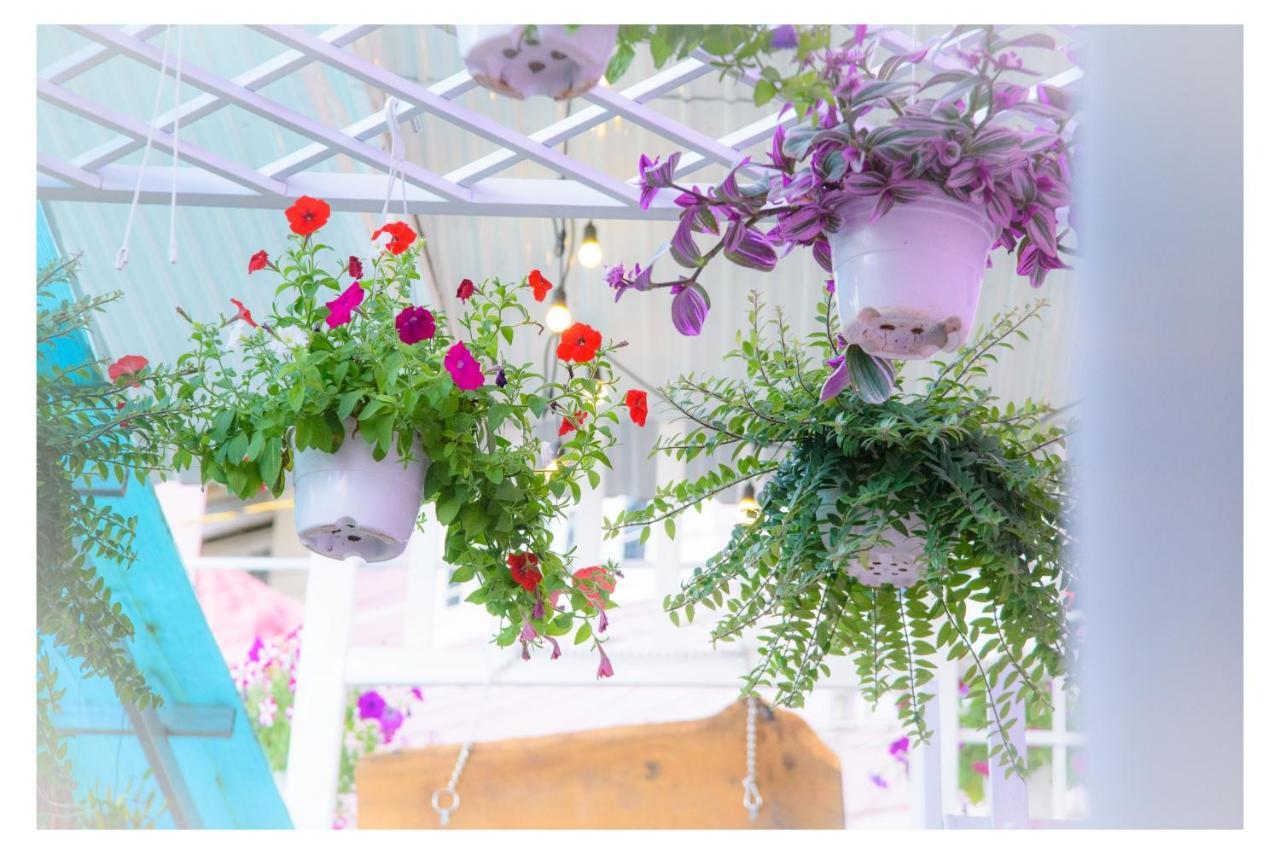 Dốc Phố Home Đà Lạt Ngoại thất bức ảnh